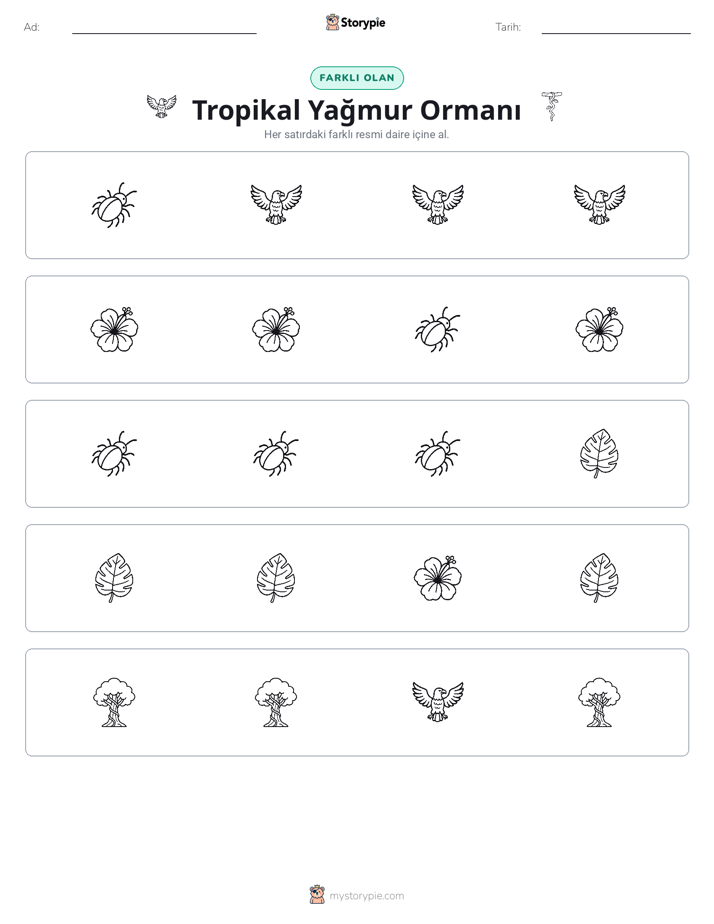 Farklı Olanı Bul