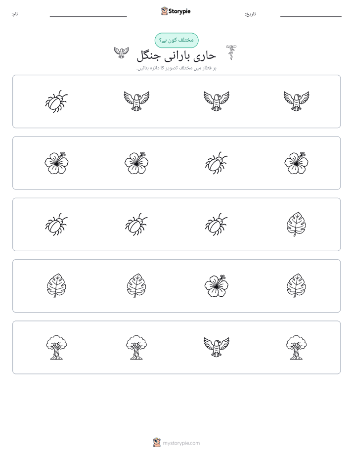 عجیب ایک