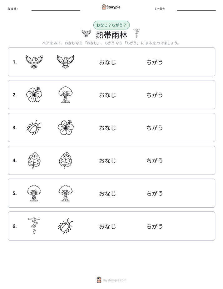同じか違うか