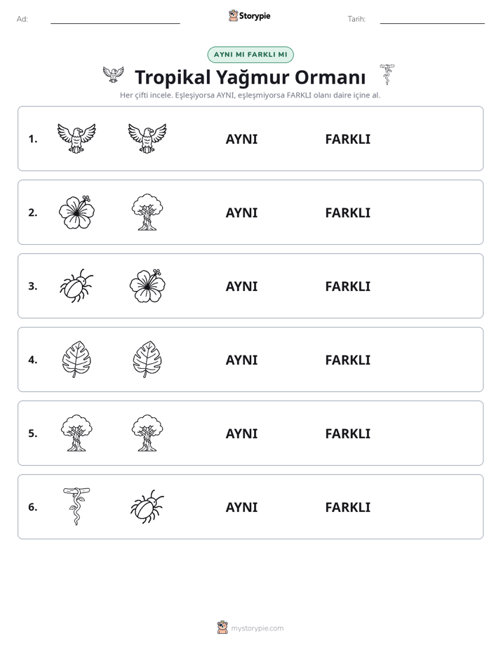 Aynı mı Farklı mı
