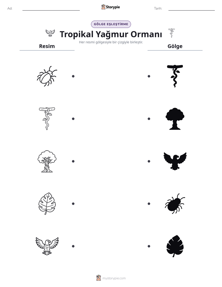 Gölge Eşleştirme