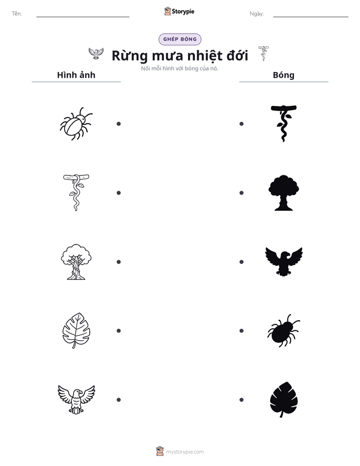 Ghép Hình Bóng