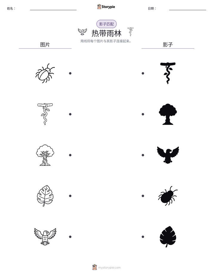 影子匹配