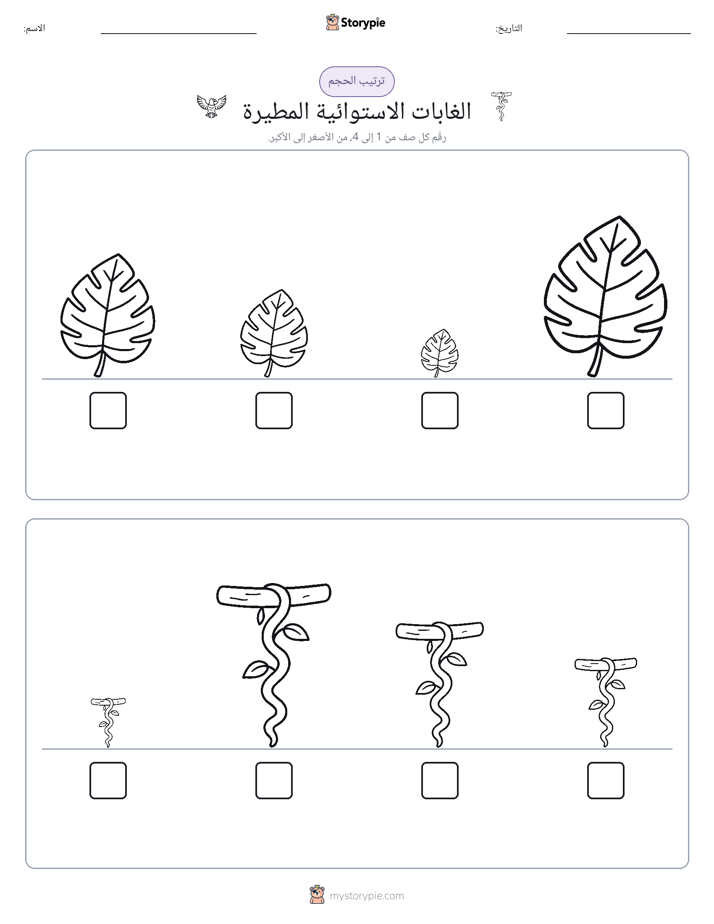 ترتيب الحجم