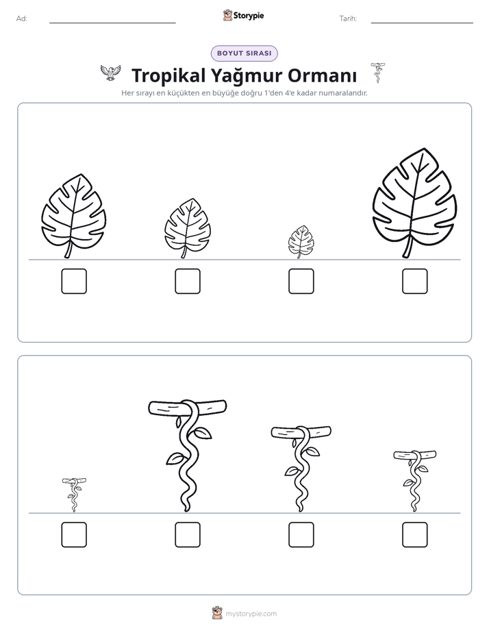 Boy Sıralaması