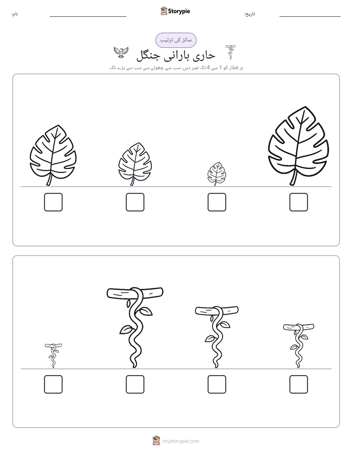سائز کی ترتیب