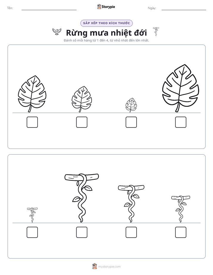 Thứ Tự Kích Thước