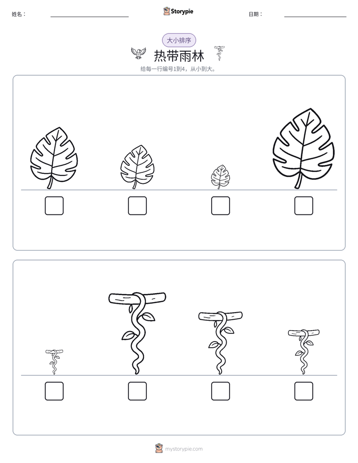 大小排序