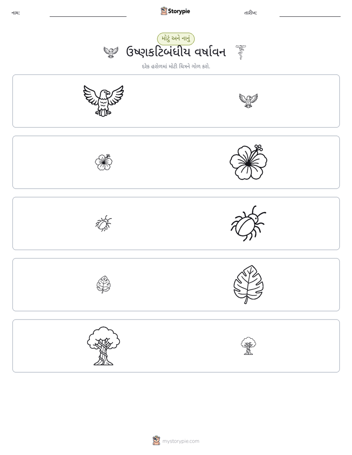વર્ગીકરણ