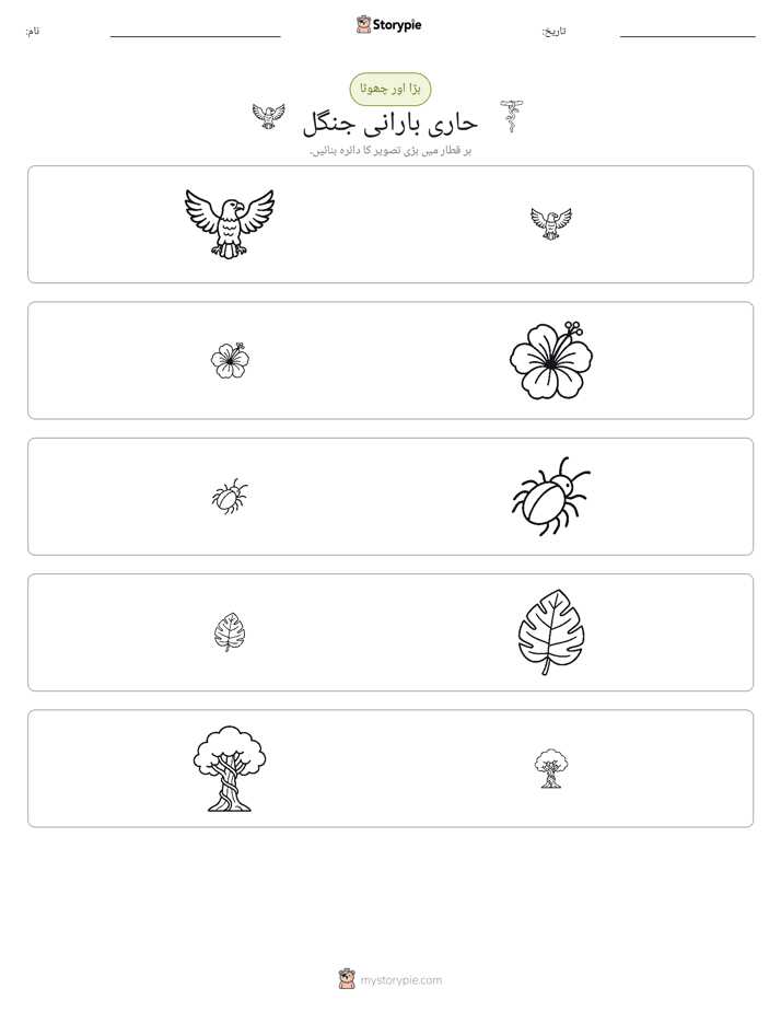ترتیب دینا