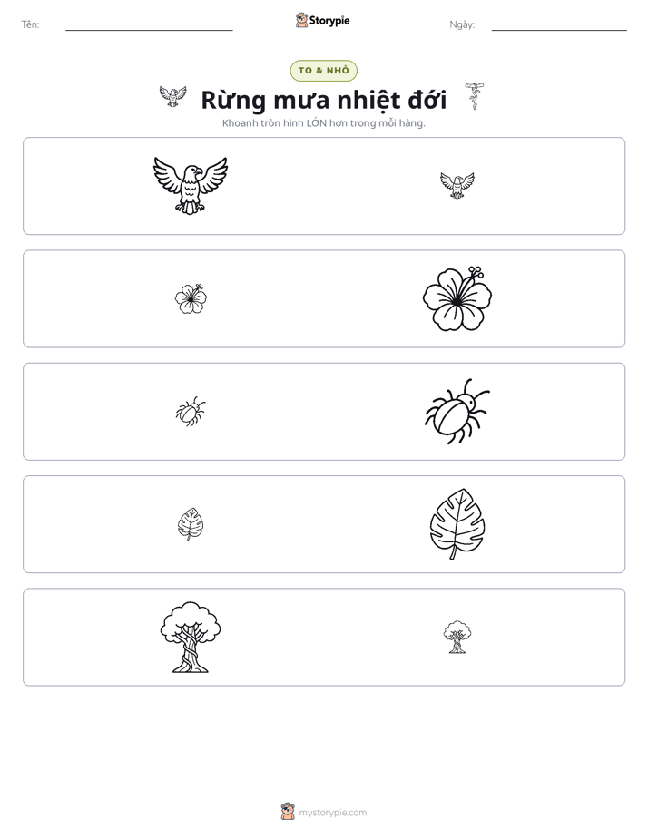 Phân Loại