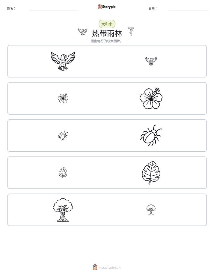 分类
