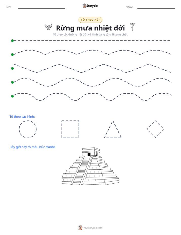 Vẽ Theo Đường