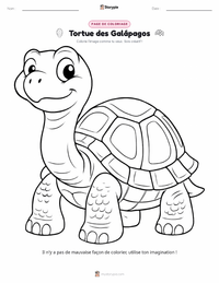 Page de coloriage Tortue géante des Galápagos pour les enfants