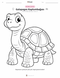 Galápagos Kaplumbağası çocuklar için boyama sayfası