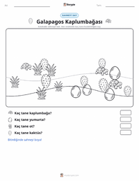 Galápagos Kaplumbağası yazdırılabilir çalışma sayfası önizlemesi