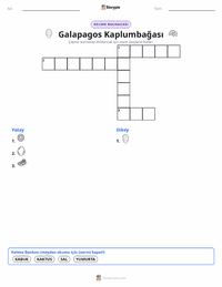 Galápagos Kaplumbağası yazdırılabilir çalışma sayfası önizlemesi