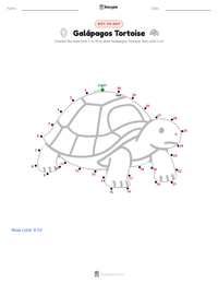 Galápagos Tortoise printable worksheet preview
