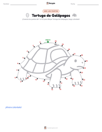 Vista previa de la hoja de trabajo imprimible de Tortuga de Galápagos