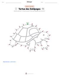 Aperçu de la feuille de travail imprimable Tortue géante des Galápagos