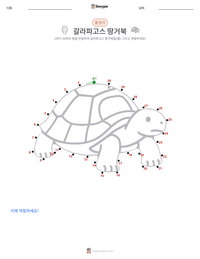 갈라파고스 거북 인쇄 가능한 워크시트 미리보기