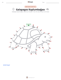 Galápagos Kaplumbağası yazdırılabilir çalışma sayfası önizlemesi