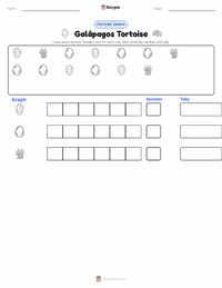 Galápagos Tortoise printable worksheet preview
