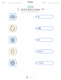 ガラパゴスゾウガメ の印刷可能ワークシートプレビュー