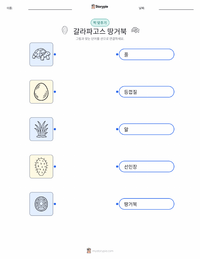 갈라파고스 거북 어린이용 인쇄 가능한 워크시트
