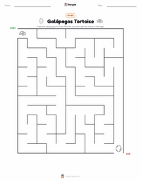 Galápagos Tortoise printable worksheet preview