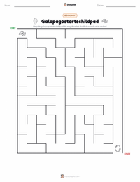 Galápagosschildpad afdrukbare werkblad voorbeeld