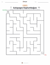Galápagos Kaplumbağası yazdırılabilir çalışma sayfası önizlemesi