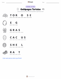 Galápagos Tortoise printable worksheet preview