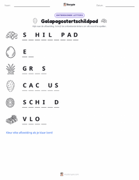 Galápagosschildpad afdrukbare werkblad voorbeeld