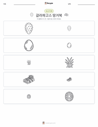 갈라파고스 거북 인쇄 가능한 워크시트 미리보기