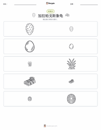 加拉帕戈斯象龟 可打印工作表预览
