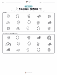 Galápagos Tortoise printable worksheet preview