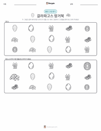 갈라파고스 거북 인쇄 가능한 워크시트 미리보기