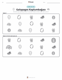 Galápagos Kaplumbağası yazdırılabilir çalışma sayfası önizlemesi