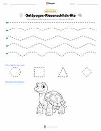 Galápagos-Riesenschildkröte druckbare Arbeitsblatt Vorschau