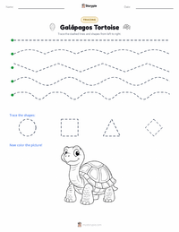 Galápagos Tortoise printable worksheet preview