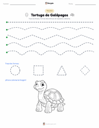 Vista previa de la hoja de trabajo imprimible de Tortuga de Galápagos