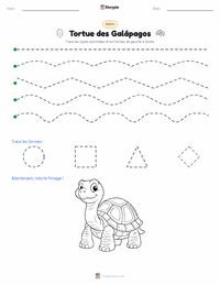 Aperçu de la feuille de travail imprimable Tortue géante des Galápagos