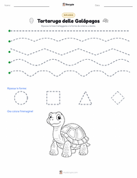 Anteprima della scheda stampabile di Tartaruga delle Galápagos