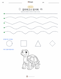갈라파고스 거북 인쇄 가능한 워크시트 미리보기