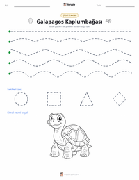 Galápagos Kaplumbağası yazdırılabilir çalışma sayfası önizlemesi