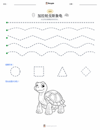 加拉帕戈斯象龟 可打印工作表预览