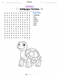 Galápagos Tortoise printable worksheet preview