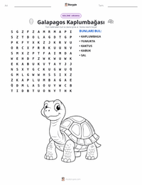 Galápagos Kaplumbağası yazdırılabilir çalışma sayfası önizlemesi
