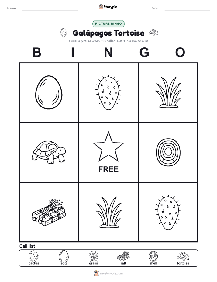 Picture Bingo